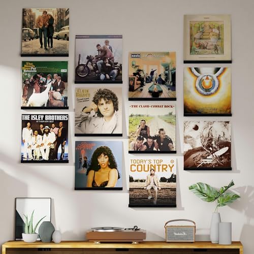 Emfogo Vinyl Record Shelf Wall Mount, 12 Pack Album Record Holder Wall, 12 inch Vinyl Record Storage Shelves Wall, Wood 