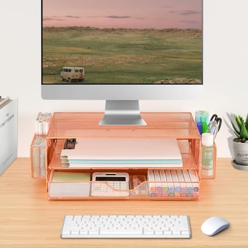 AUPSEN Computer Monitor Stands Riser，2-Tier Desk Organizers and Accessories, Office Desk Accessories Organizer with Draw