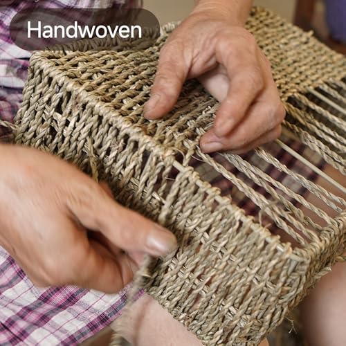 StorageWorks Wicker Storage Baskets for Shelves, Pantry Baskets, Seagrass