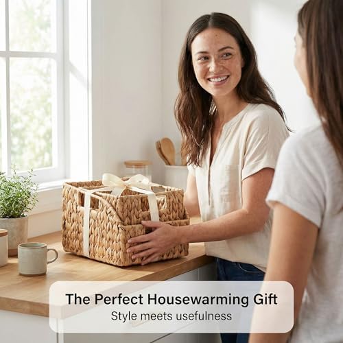DEILSY™ Water Hyacinth Wicker Storage Baskets for Shelves with Handles 2pk