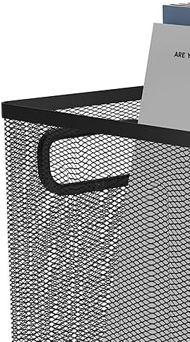 TRU RED Wire Mesh File Organizer, Large Single-Compartment, Black