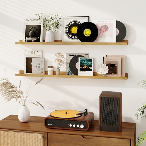 Dreamland Picture Ledge Shelf for Wall, Floating Shelves Set of 2, 48 Inch Long Floating Shelves with Lip for Living Roo