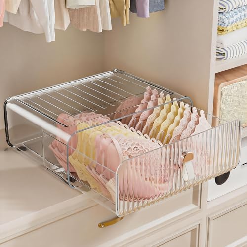 Neprock Underwear Drawer Organizer - Stackable Bra Organizer for Closet, 1 Cell Clear Acrylic Bra Storage Box, Closet Or
