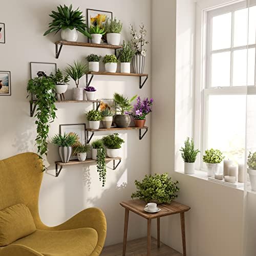Wallniture Ponza 24" Floating Bookshelf, Wood Floating Shelves for Wall Storage, Rustic Wall Shelves for Bedroom, Living