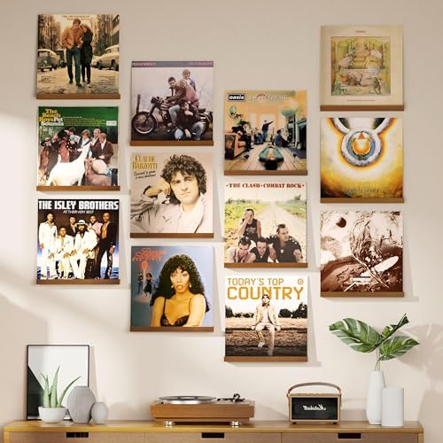 Emfogo Vinyl Record Shelf Wall Mount, 12 Pack Album Record Holder Wall, 12 inch Vinyl Record Storage Shelves Wall, Wood 