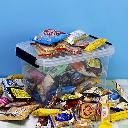 8 Quart Plastic Storage Clear Latch Boxes, Clear Containers with Lids and Handles, 6 Packs