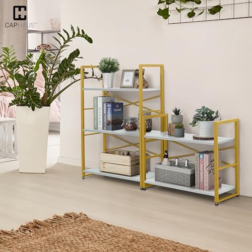 CAPHAUS 2 Tier Small Bookshelf, Bookcase Shelf Storage Organizer for Living Room, 24 Inch Width Free Standing Shelf, Ind