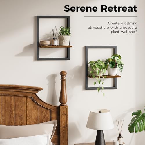 Bamworld Wall Plant Holder Hanging Planters for Indoor Plants Frames Decor