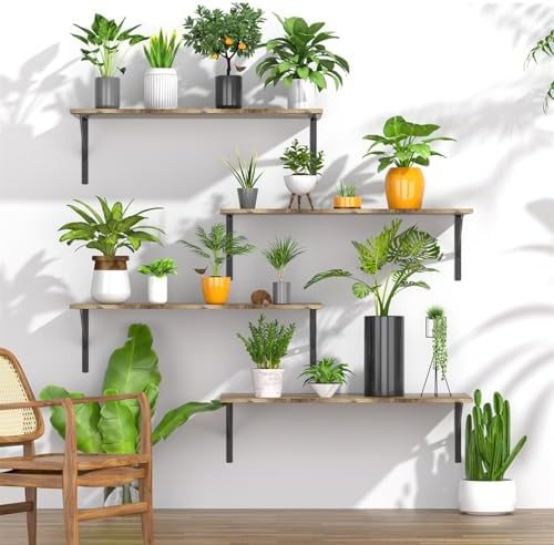 Deep Floating Shelves for Wall Set of 3, 24W x 12 Inch Deep Floating Shelves, Wide Floating Wall Mounted Shelves for Liv