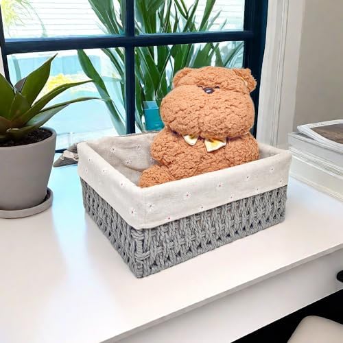 GIB Small Wicker Storage Baskets with Lid/Liner Woven Cute Decorative Boxes