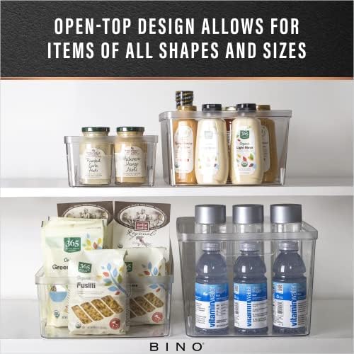 BINO | Plastic Storage Bins, Medium - 2 Pack | THE LUCID COLLECTION | Multi-Use Built-In Handles | BPA-Free | Clear Stor
