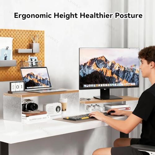 YGYQZ Adjustable Monitor Stand Riser, 7.67"×19.3" Dual Monitor Desk Stand