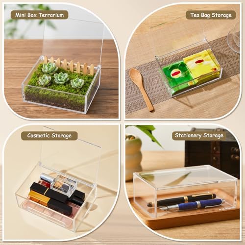 Blulu 8 Pcs Clear Acrylic Box with Lid, 5.51 x 3.94 x 1.97 Inch, Flip Style
