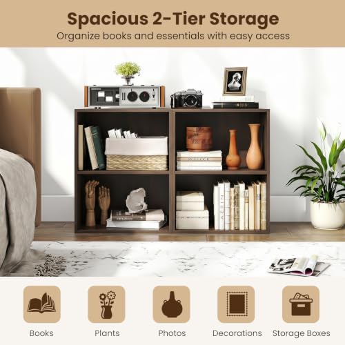GIANTEX 2-Cube Bookshelf, 2-Layer Storage Shelf Bookcase
