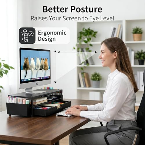ECOLOVI Desk Organizer and Accessories, 2-Tier Computer Monitor Stand Rise with Storage Drawer & 2 Pen Holders, Laptop &