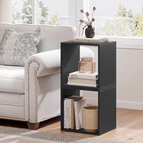 LOKO Stackable 2 Cube Storage Organizer, 2-Tier Bookshelf (1, Black)