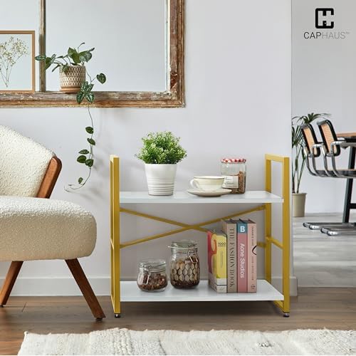 CAPHAUS 2 Tier Small Bookshelf, Bookcase Shelf Storage Organizer for Living Room, 24 Inch Width Free Standing Shelf, Ind
