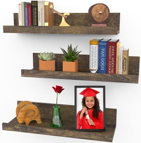 Icona Bay 16 Inch Floating Shelves for Wall - Set of 3 in Walnut Brown - Modern Rustic Style - Wall Mounted Display Shel