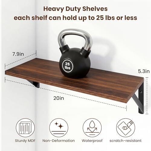 Axeman 20 Inch Floating Shelves, 8 Inch Deep Walnut Wall Shelves Set of 2