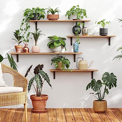 DINZI LVJ Long Wall Shelves, 47.3Inch Wooden Wall Mounted Shelves, Set of 2
