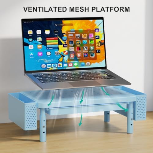 WALI Computer Monitor Stand with Storage and Pen Holder