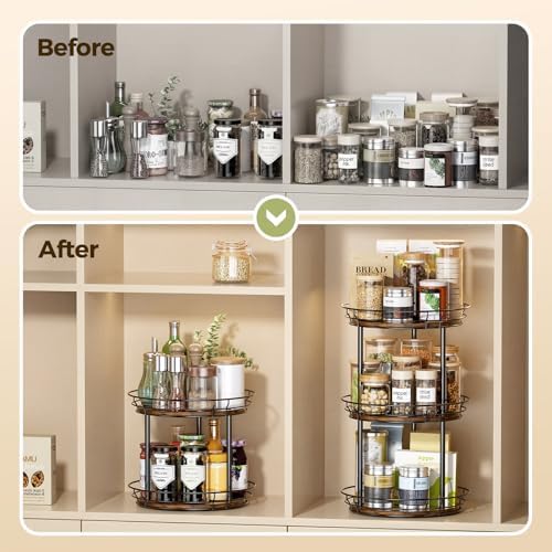LAMU 2 Tier Lazy Susan Turntable Rotating Spice Rack Organizer for Cabinet
