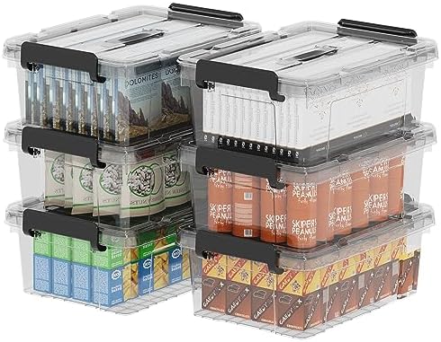 Cetomo Plastic Storage Bins with Handle, Storage Bin with Lids, Organizing Container, PP Box for Home Office, Clear, 18 
