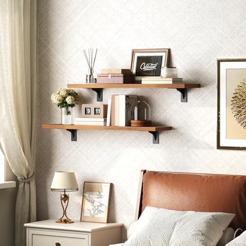HOOBRO Floating Shelves for Wall, 23.6" Wall Mounted Shelves Set of 2