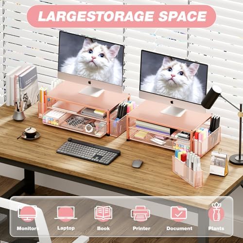 OPNICE Desk Organizer and Accessories, 2-Tier Computer Monitor Stand Riser with Drawer and 2 Pen Holders, Laptop Stand, 