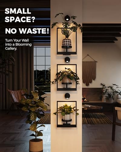 Bamworld Hanging Planters for Indoor Plants Wall Decor Living Room Light