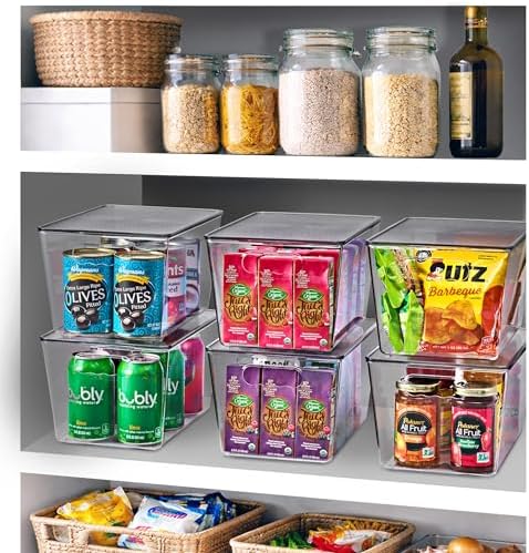 Sorbus Clear Storage Bins with Lids for Kitchen (Large, 10 Pack)