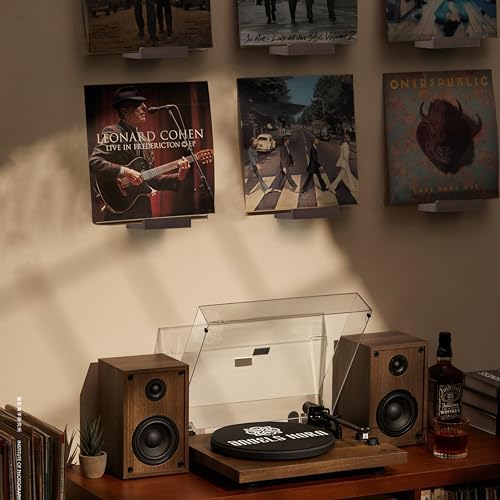 Vinyl Record Shelf Wall Mount,Small Record Holder,Dark Walnut,12Pcs
