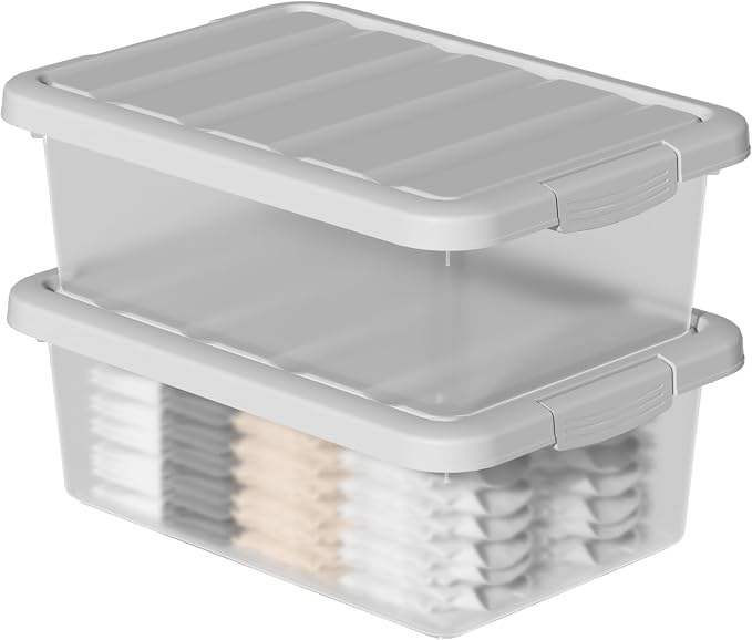 2-Pack Medium Storage Bins with Lids, 14 Quart Stackable See-Through Organizing Box, Nestable Containers with Secure Latches