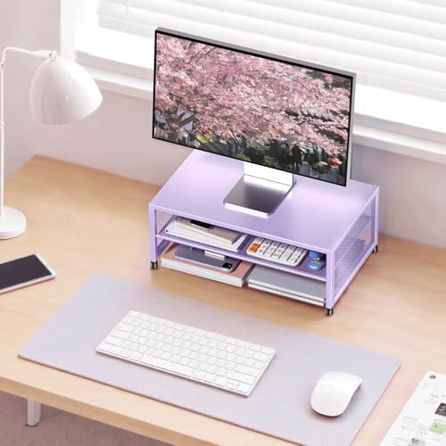 ECOLOVI 2-Tier Computer Monitor Stand Riser, Printer & Laptop Stand, Office Desk Accessories, Workspace Desk Organizer f