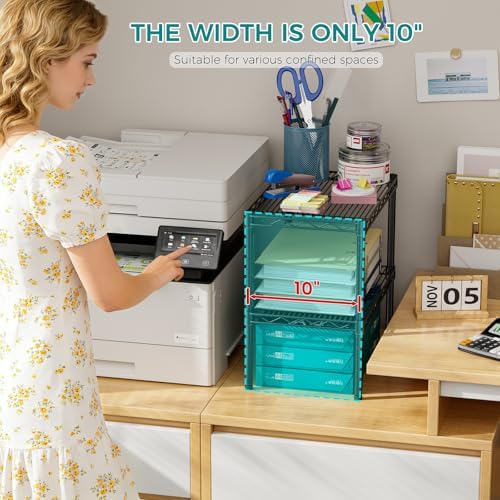 SINGAYE Bookshelf Shelves Bookcase Shelf 2 Tier Wire Shelving Adjustable