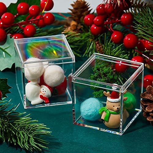 Blulu 8 Pcs Clear Acrylic Box with Lid, 2.6 x 2.6 x 2.6 Inch, Classic Style