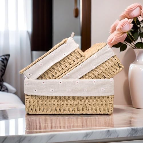 GIB Small Wicker Storage Baskets with Lid/Liner Woven Cute Decorative Boxes