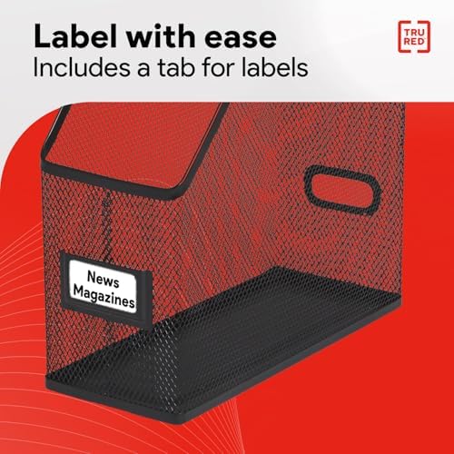Staples TRU RED Metal Magazine File Organizer, Black - Top - Loading Desktop File Holder with Handle, Holds Up to 1000 Sheets