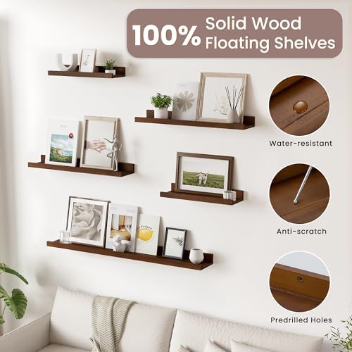 Acovy Floating Shelves for Wall, 24 inch Solid Wood Picture Ledge Shelf, Picture Shelf for Wall with Ledge, Floating Book Shelves for Living Room Bedroom Kitchen Nursery Decor, Walnut, Set of 2