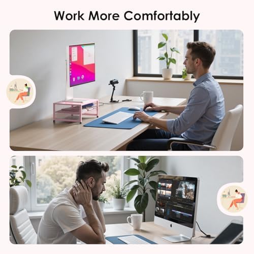 ECOLOVI 2-Tier Computer Monitor Stand Riser, Printer & Laptop Stand, Office Desk Accessories, Workspace Desk Organizer f