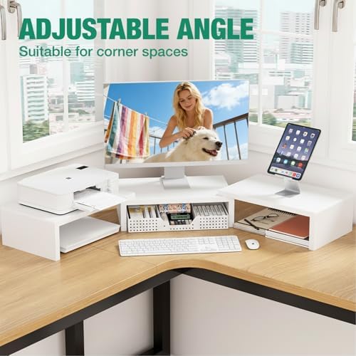 OPNICE Dual Computer Monitor Stand Riser, Desk Organizer with Drawer, Office Desk Accessories & Workspace Organizers for