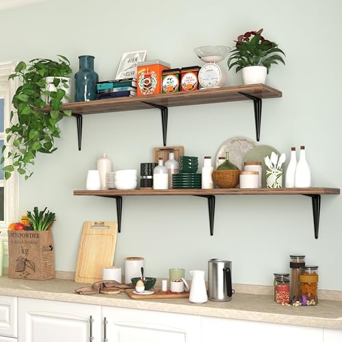 20 Pack Shelf Brackets 10 Inch, Black Metal Brackets for Shelves, L Shape Shelving Brackets (Black, 10" x 8")