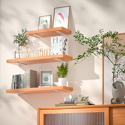 Floating Shelf Brackets 10 Inch 6 Pack, Hidden L Brackets for Shelves White