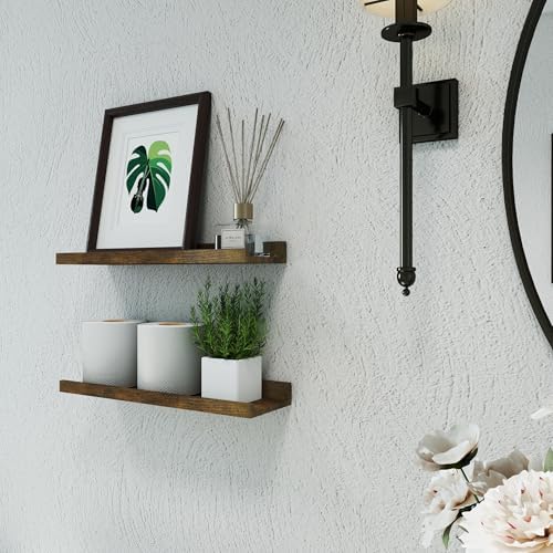 Brown Floating Shelves for Wall Decor, 16 in Shelf with Lip Set of 2