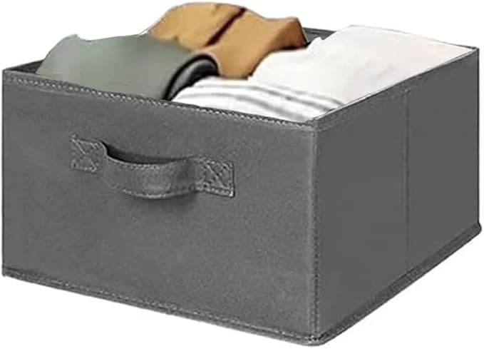 MAX Houser 2 Drawer Hanging Closet Storage Organizer, Dark Grey | For Socks, Underwear & Sweaters, Space Saving Vertical Storage for Bedroom Wardrobe, Sturdy Breathable Fabric Construction