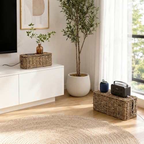 2 Pack Handwoven Cable Management Box with Lid, Decorative Cord Organizer for Power Strips, Chargers, TV Wires, Desk, Ho