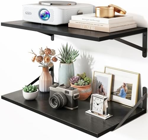 Fixwal 2pcs 10 in Deep Floating Shelves for Wall (Black, 23.6" L)