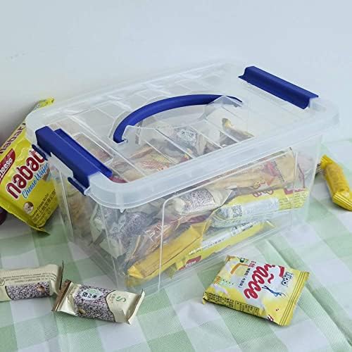 6 L Plastic Storage Box, Clear Boxes with Handles Set of 6