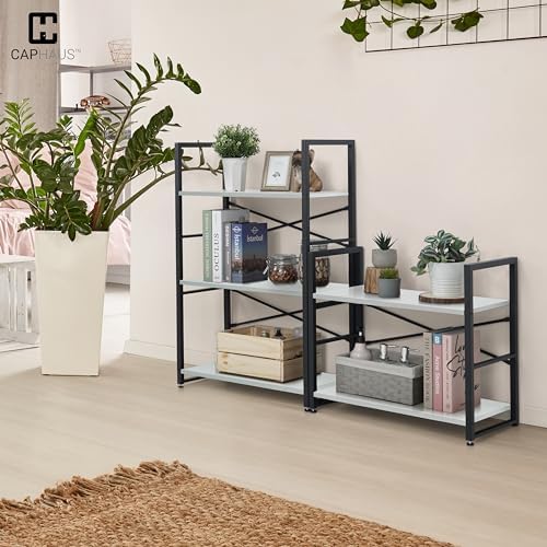 CAPHAUS 2 Tier Small Bookshelf, Bookcase Shelf Storage Organizer for Living Room, 24 Inch Width Free Standing Shelf, Ind