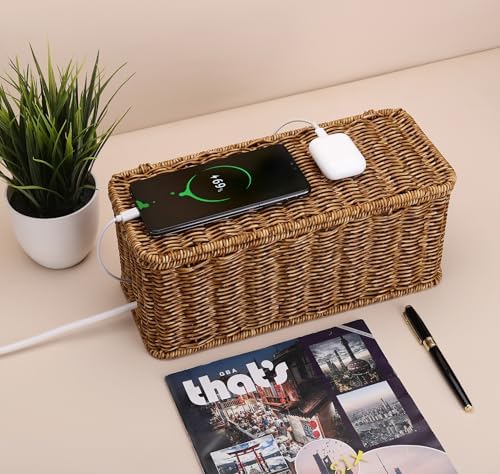 ZhiYo Rattan Cable Management Box, Speckled Brown, 12.5" x 5" x 5.2"